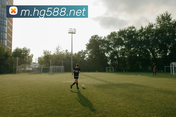 体育直播服务